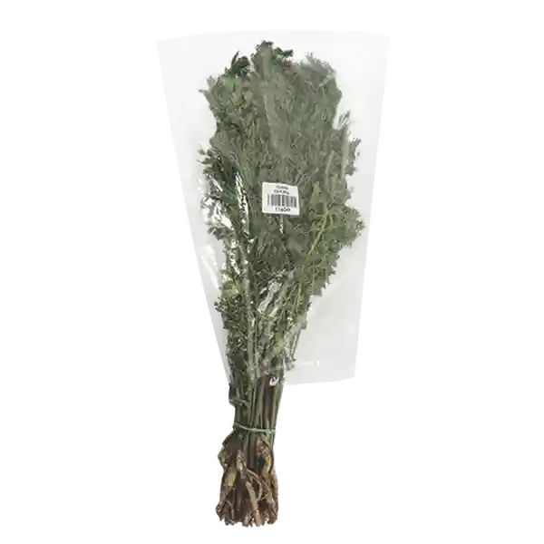 Makro Cilantro Fresco