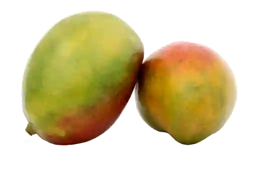 Mango Grueso Surtido