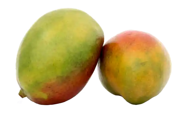 Mango Grueso Surtido