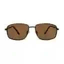 Gafas 100% uv Hombre Marrón x62082 Tommy Hilfiger