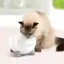 Catit Pixi Fuente de Agua y Bebedero Para Gatos