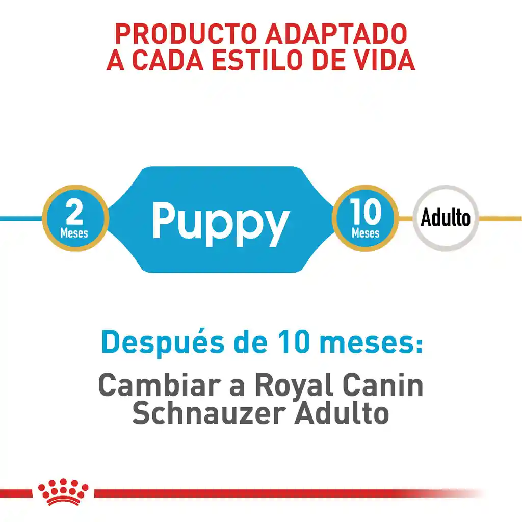 Royal Canin Alimento Para Perro Schnauzer Mini Puppy 1.13 Kg
