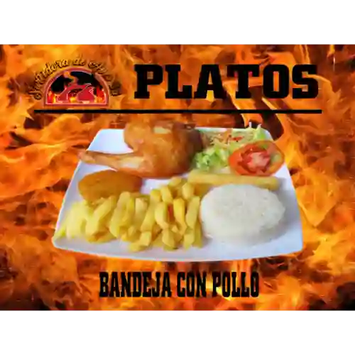 Bandeja con Pollo