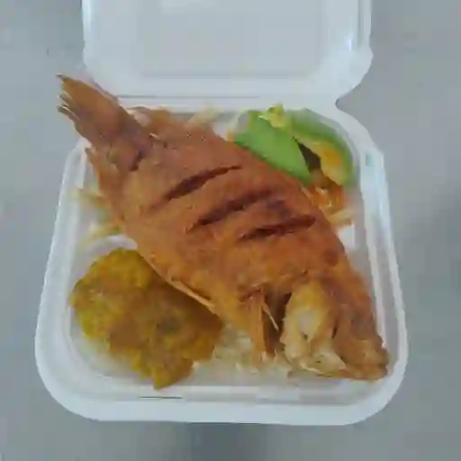 Tilapia Frita