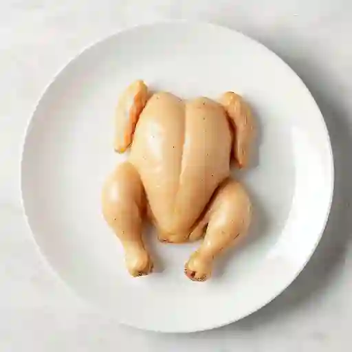 Pollo