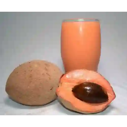 Jugo de Zapote 500Ml