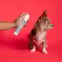 Lookpet Spray Ultra Acondicionador Fresh Dog Para Perro 6 En 1 - 120ml