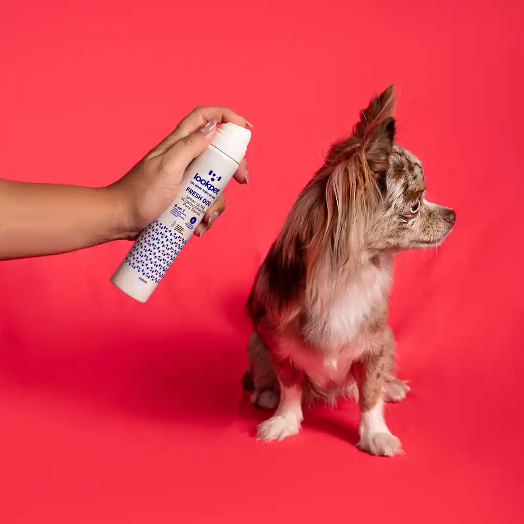 Lookpet Spray Ultra Acondicionador Fresh Dog Para Perro 6 En 1 - 120ml