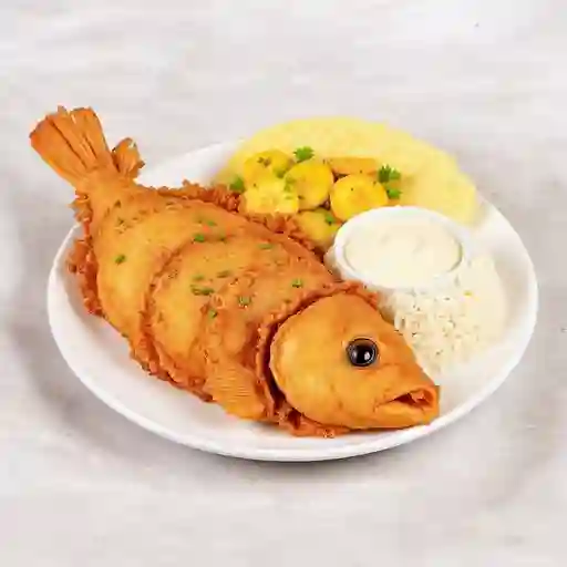 Bocachico Frito Arrollado