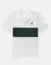 Polo Hombre Verde Talla Large 4570337 American Eagle