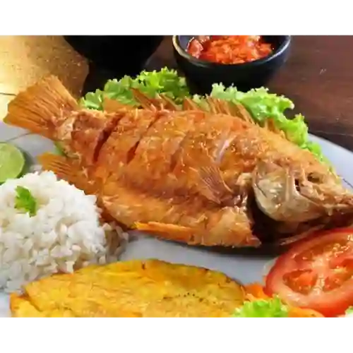 Mojarra Dorado 400 gr