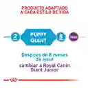 Royal Canin Alimento para Perro Cachorro Raza Gigante