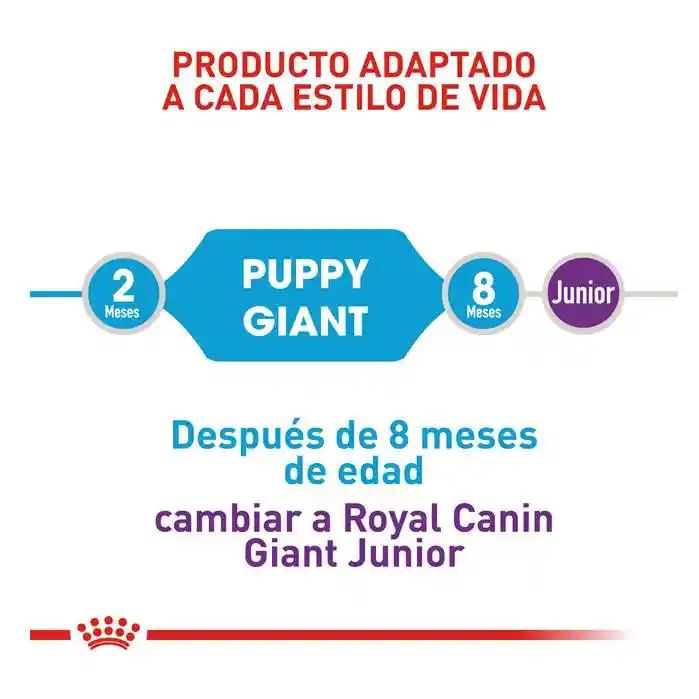 Royal Canin Alimento para Perro Cachorro Raza Gigante