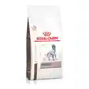 Royal Canin Alimento para Perro Veterinary Hepatic 