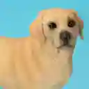 Figura Perro Diseño 0001