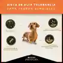 Pro Plan Alimento para Perros Adultos Sensitive Skin