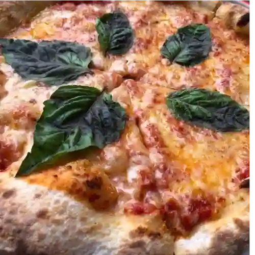 Pizza Margherita