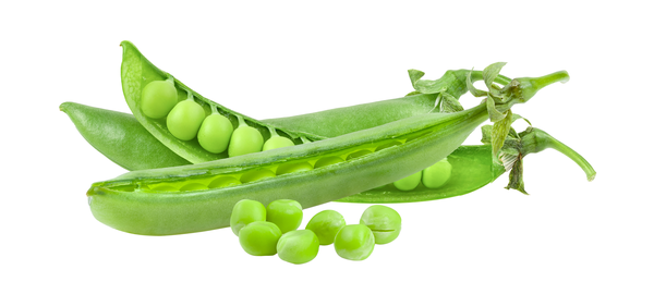 Arveja Verde en Vaina x kg