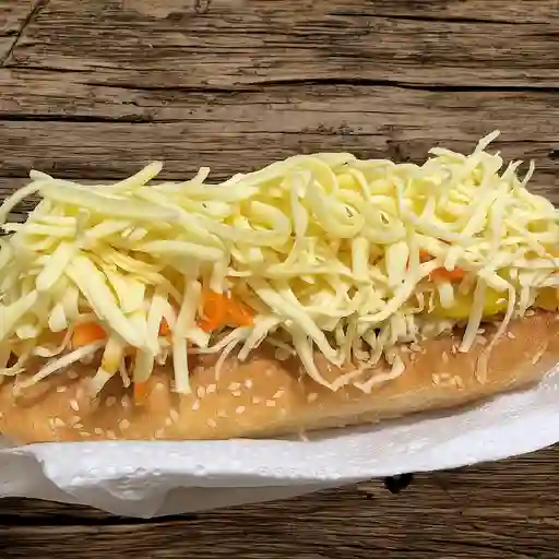 Perro de la casa