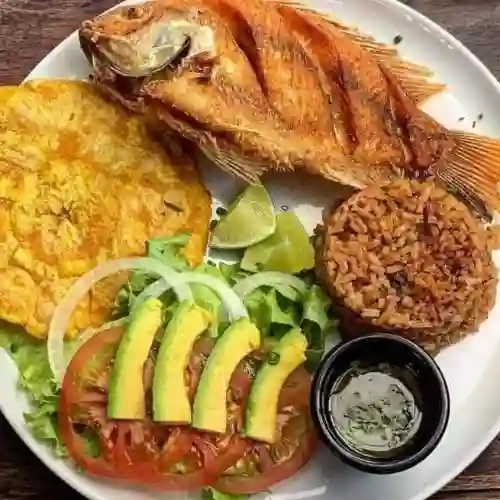 Recorrido por el Pacífico