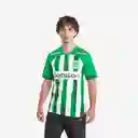 Nike Camisa Nacional Hm Jsy ss Short Hombre Verde Talla L