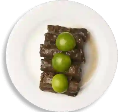Hojas de Parra