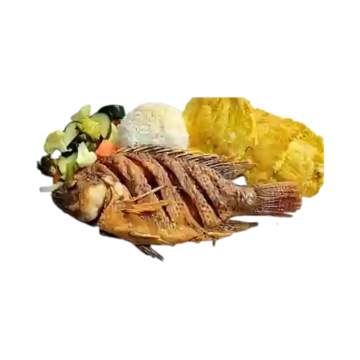 Tilapia Frita