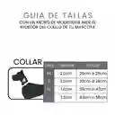 Fedelé Collar Goma Rojo S