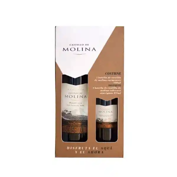 Vino Castillo de Molina Merlot