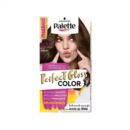 Palette Tinte Perfect Gloss Moca Cremoso Sin Amoníaco 500 50 mL