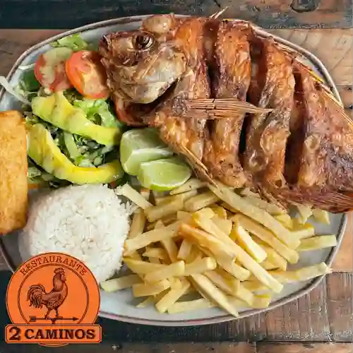 Combo mojarra + corona 355  ml