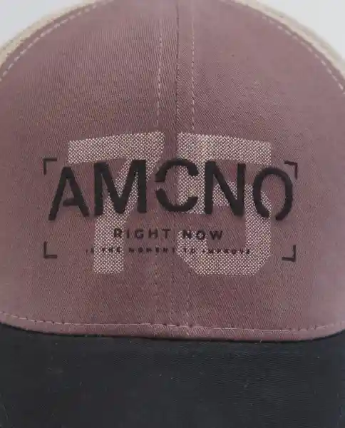 Gorra Morado Talla M 751E513 Americanino