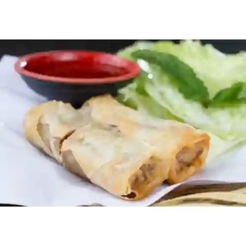 Crispy Spring Rolls