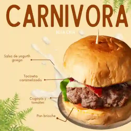 Carnívora