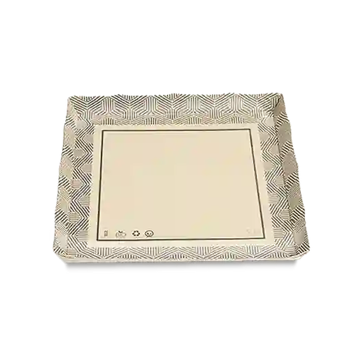 Plato Cuadrado 25 cm x 25 cm