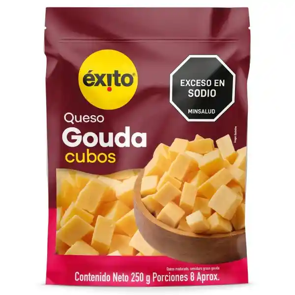 Queso Gouda Queso Madurado Exito