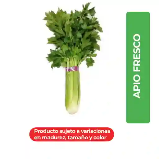 Apio