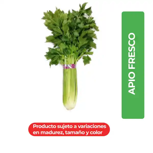 Apio