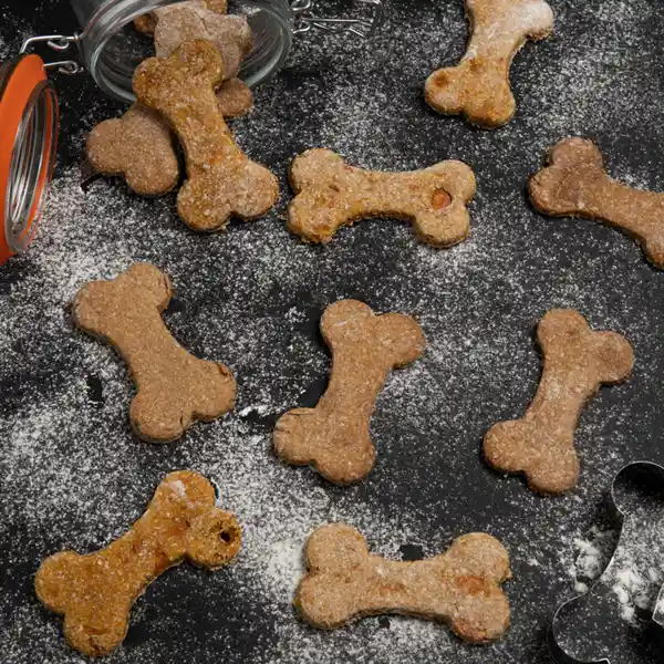 Galletas Perros Zanahoria y Pollo