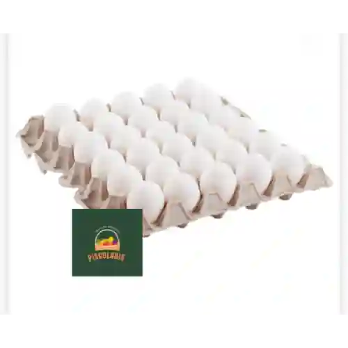 Huevos blancos aa semicriollos por 30