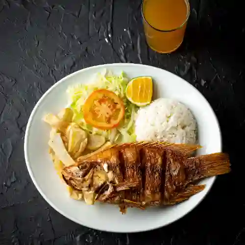 Seco con Tilapia Frita