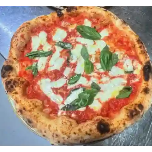 Pizza Margherita