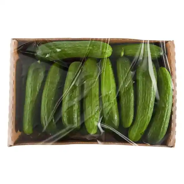 Pepino Europeo