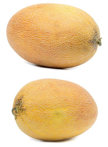 Melón x kg