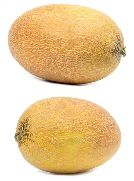 Melón