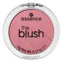 Essence Rubor The Blush Believing