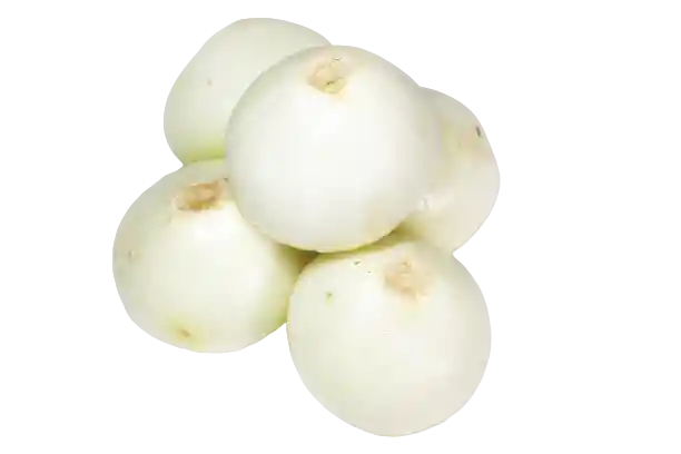 Cebolla Cabezona Blanca