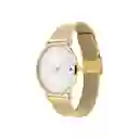 Reloj Alex Mujer Dorado 1782245 Tommy Hilfiger