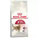 Royal Canin Alimento para Gato Regular Fit 32 