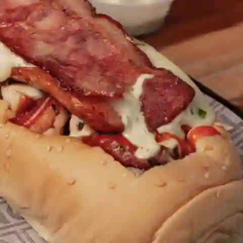 Perro Medio Salvaje